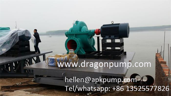 Double suction pump